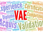 https://lmse-ppd.lemediasocial-emploi.fr/media/cache/resolve/articles_thumbnail/uploads/images/articles-small/5bbe0d9cde76b_VAE-presentation%20%281%29.jpg