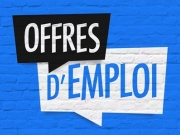 https://lmse-ppd.lemediasocial-emploi.fr/media/cache/resolve/articles_thumbnail/uploads/images/articles-small/5c3372dbe2dc3_Conseils_Redaction%20offres%20emploi.jpeg