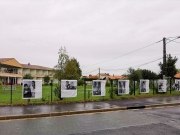 https://lmse-ppd.lemediasocial-emploi.fr/media/cache/resolve/articles_thumbnail/uploads/images/articles-small/5fa2e41f279e5_Expo%20Ehpad%20photo%20en%20t%C3%AAte%20papier%202.jpg