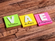 https://lmse-ppd.lemediasocial-emploi.fr/media/cache/resolve/articles_thumbnail/uploads/images/articles-small/602afe2dc5677_Conseils_T%C3%A9moignage%20DEES%20VAE.jpeg