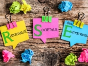 https://lmse-ppd.lemediasocial-emploi.fr/media/cache/resolve/articles_thumbnail/uploads/images/articles-small/61659bef8f037_Actu_RSE%20emploi%20RH%20m%C3%A9dico-social.jpeg