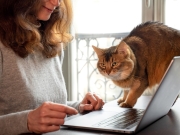 https://lmse-ppd.lemediasocial-emploi.fr/media/cache/resolve/articles_thumbnail/uploads/images/articles-small/6231bb083133a_GettyImages-1331999554%20-%20Copie.jpg